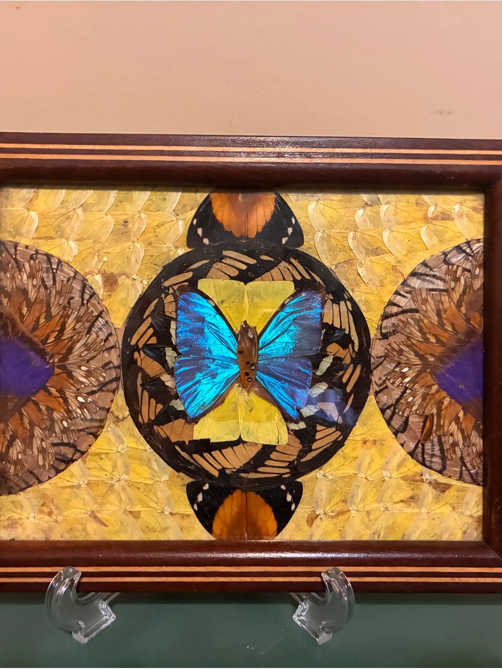 Vintage Framed Blue Butterfly Wall Art/Tray Home Art